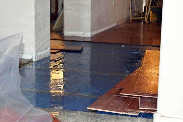 Professional Emergency Water Damage Restoration technician working in Robertsville, OH